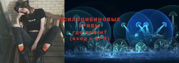 индика Балабаново