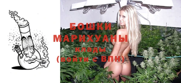 индика Балабаново