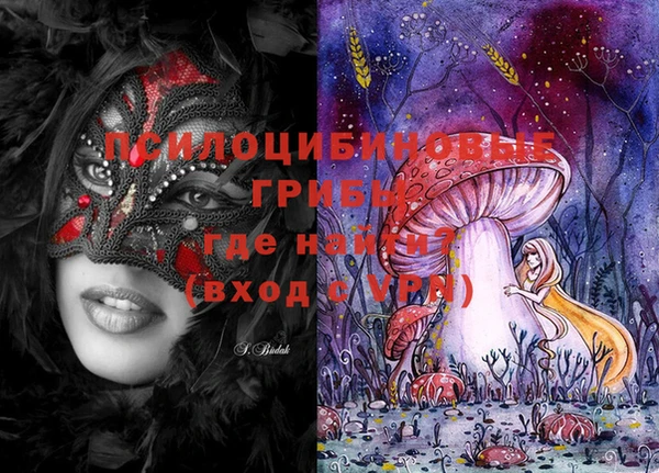 индика Балабаново